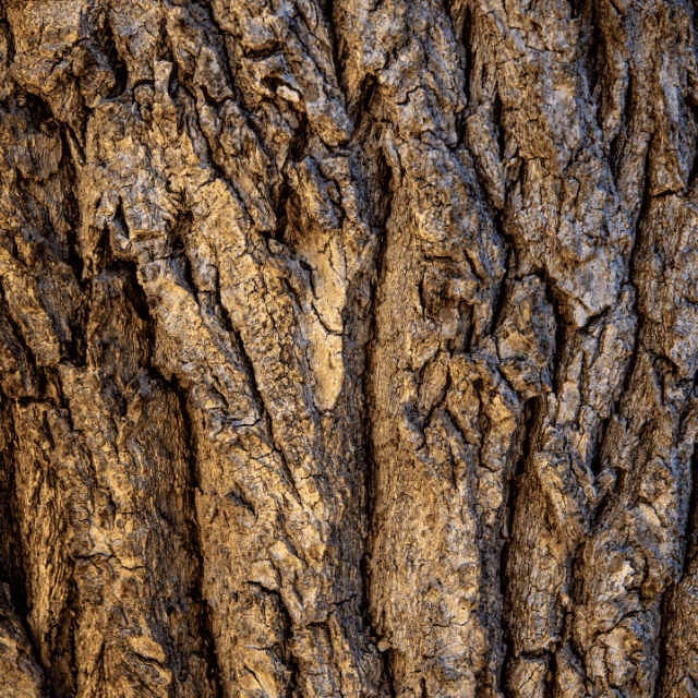 Emerald Ash Borer Signs Strobert Tree Services