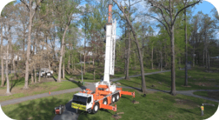 Large  Crane Tree Removal in Berwyn, PA