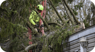Arborist cutting branches performing Emergency Tree Services in Berwyn, PA