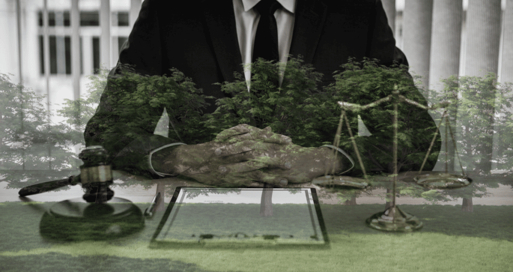 Pennsylvania Tree Laws Strobert Tree Services