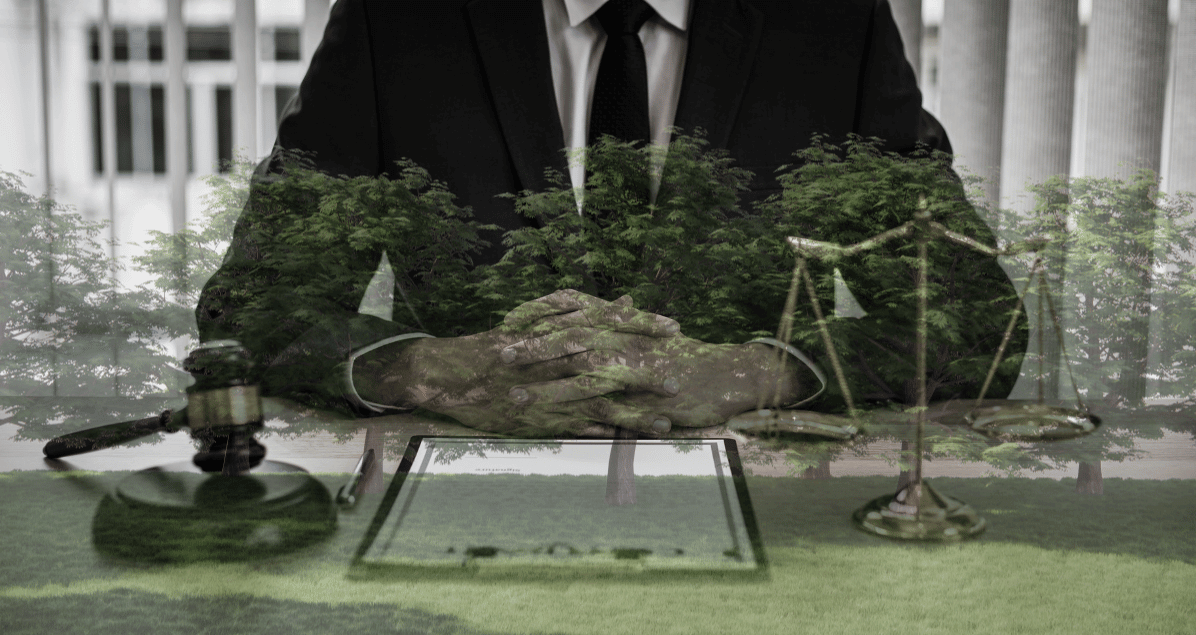 Pennsylvania Tree Laws Strobert Tree Services