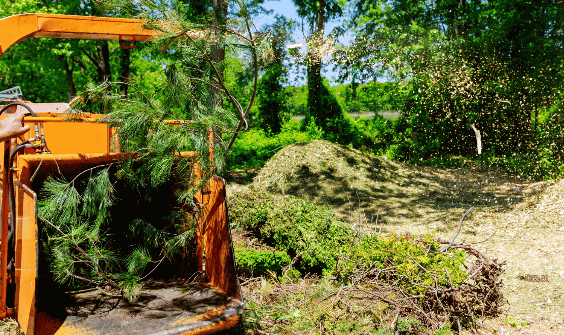 What to Do with Wood Chips from Stump Grinding Strobert Tree Services