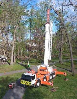 Strobert Tree Services' Large Crane Tree Removal in New Castle County DE