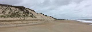 A beach in Lewes, Delaware with sand dunes and a stormy sky.