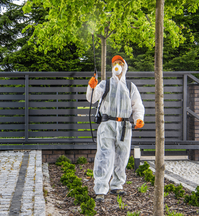 Tree Protetion Tree Protection | Strobert Tree Services