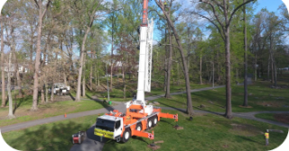 Tree Removal in West Chester, Pennsylvania
