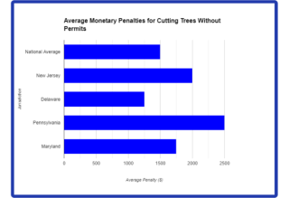chart penalty for cutting tree without permit.png