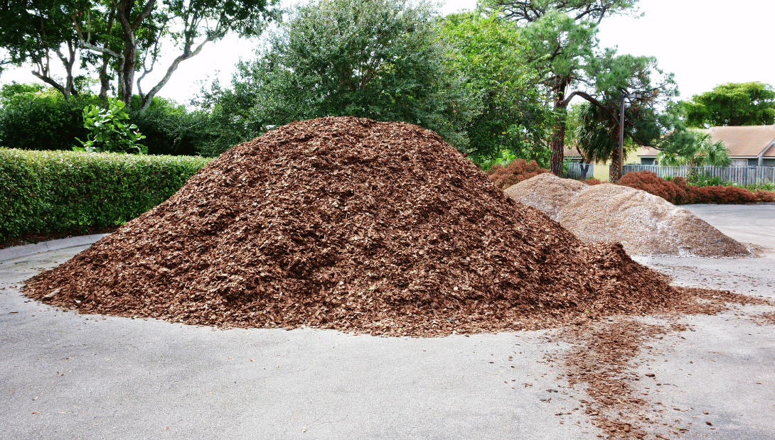 Cedar vs Cypress Mulch Strobert Tree Services