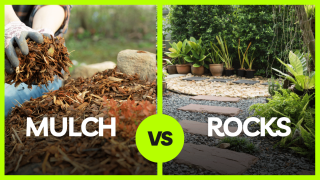 Mulch vs. Rock.png