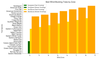 best wind break trees by zone.png
