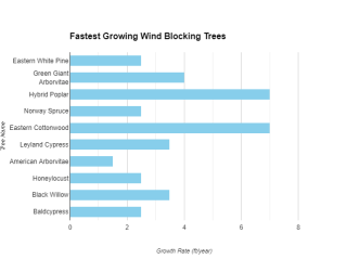 fastest growing wind break trees.png
