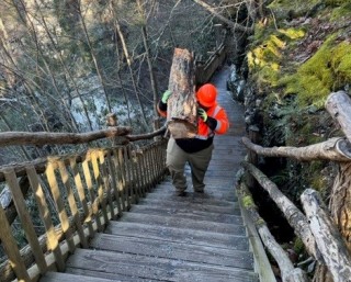 Bushkill Falls Log Carry.jpg