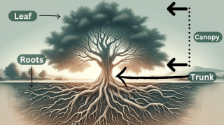 parts of a tree.png