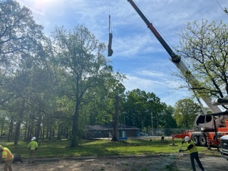 Surratte Park pool area in Wilmington cleared of overhanging tree limbs after professional removal by Strobert Tree Services.