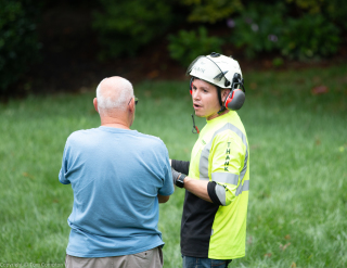 Tree Service in Norristown, Pennsylvania